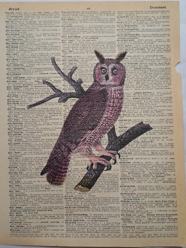 Halloween: Brown Horned Owl