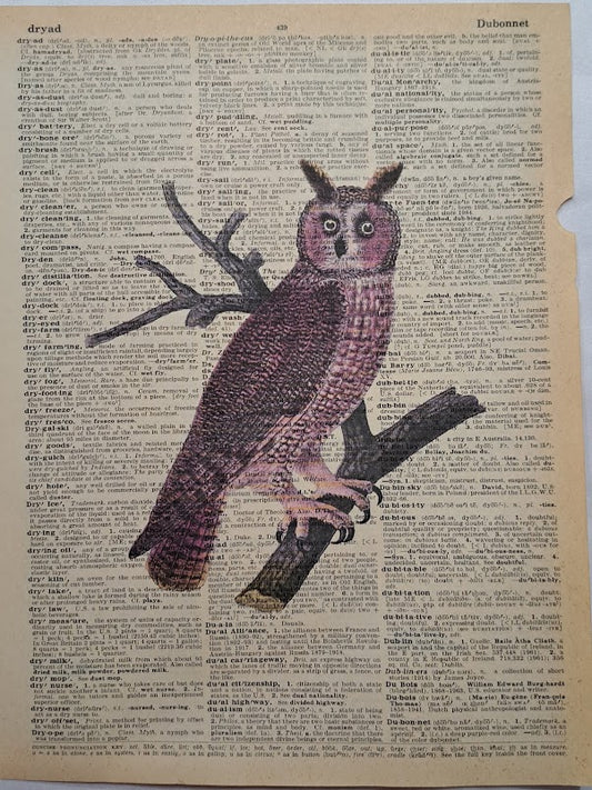Halloween: Brown Horned Owl